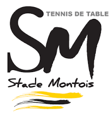 cropped-Stade-Montois-TT.png