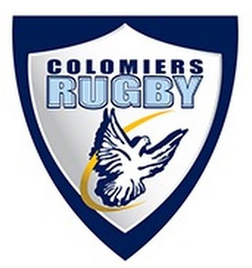 cropped-US-Colomiers.jpg