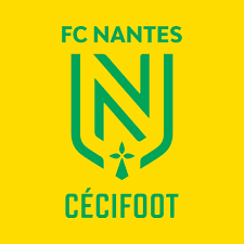 Nantes cécifoot